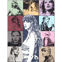 idol singer-GS  2173